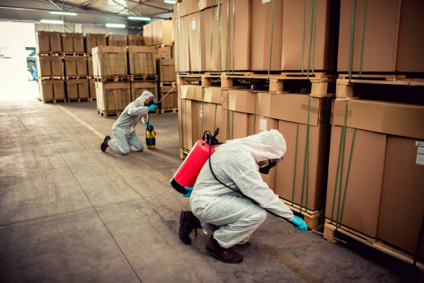 Best Pest Inspection Near Me  in White Marsh, MD