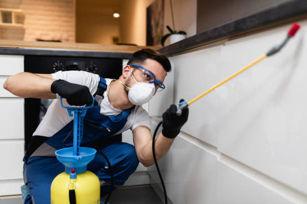 Best Rat Extermination Near Me  in White Marsh, MD