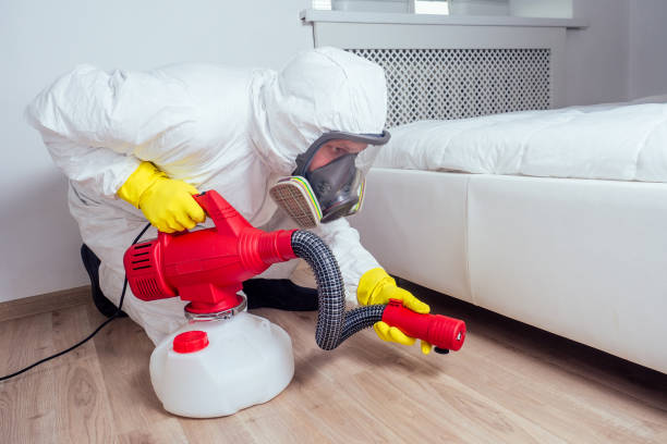 Best Wasp Removal Services  in White Marsh, MD