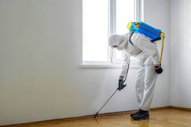 Best Best Pest Control Companies  in White Marsh, MD