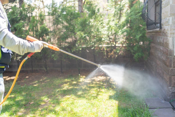 Best Affordable Pest Control Services  in White Marsh, MD