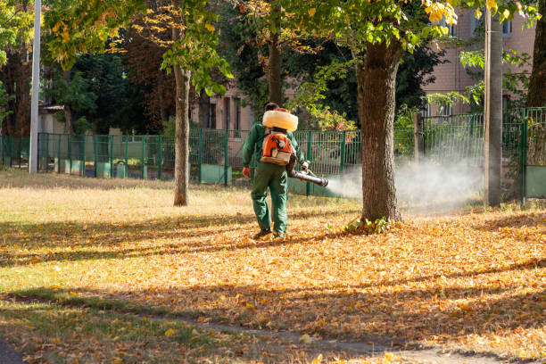 Best Insect Control  in White Marsh, MD