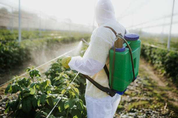 Best Commercial Pest Control Services  in White Marsh, MD